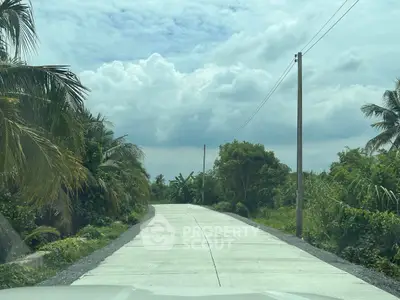 Scenic rural road with lush greenery and clear skies, ideal for countryside living.