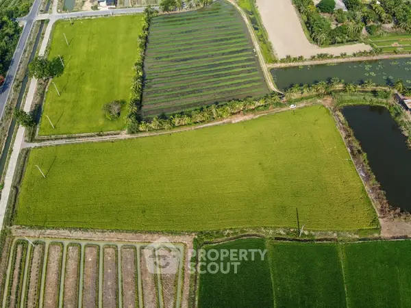 image_rental-18763987