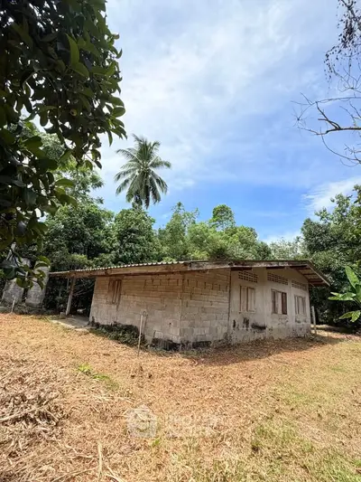Charming rustic house surrounded by lush greenery, perfect for nature lovers seeking tranquility.