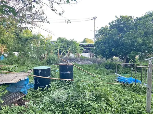 image_rental-31064635