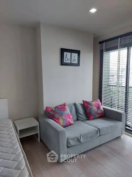 Cozy living room with gray sofa and vibrant cushions, adjacent to a window with blinds.