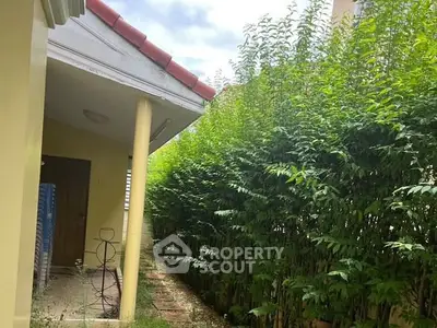 image_rental-28838941