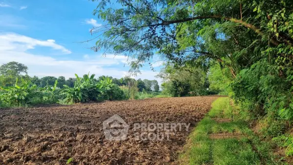 image_rental-26885798