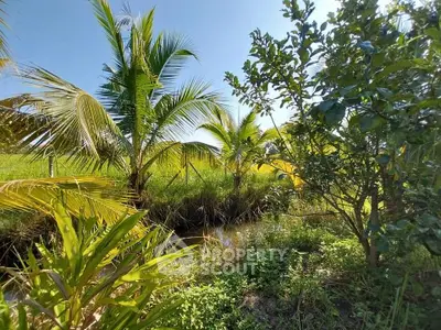 Lush tropical garden with vibrant greenery and palm trees under clear blue sky