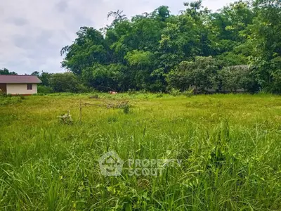 image_rental-38450328