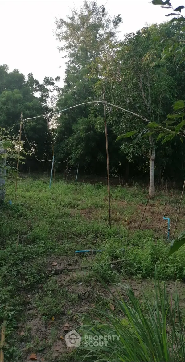 image_rental-26174042