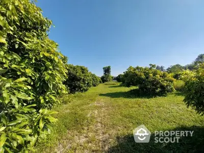 Expansive green garden with lush trees under clear blue sky, perfect for nature lovers.