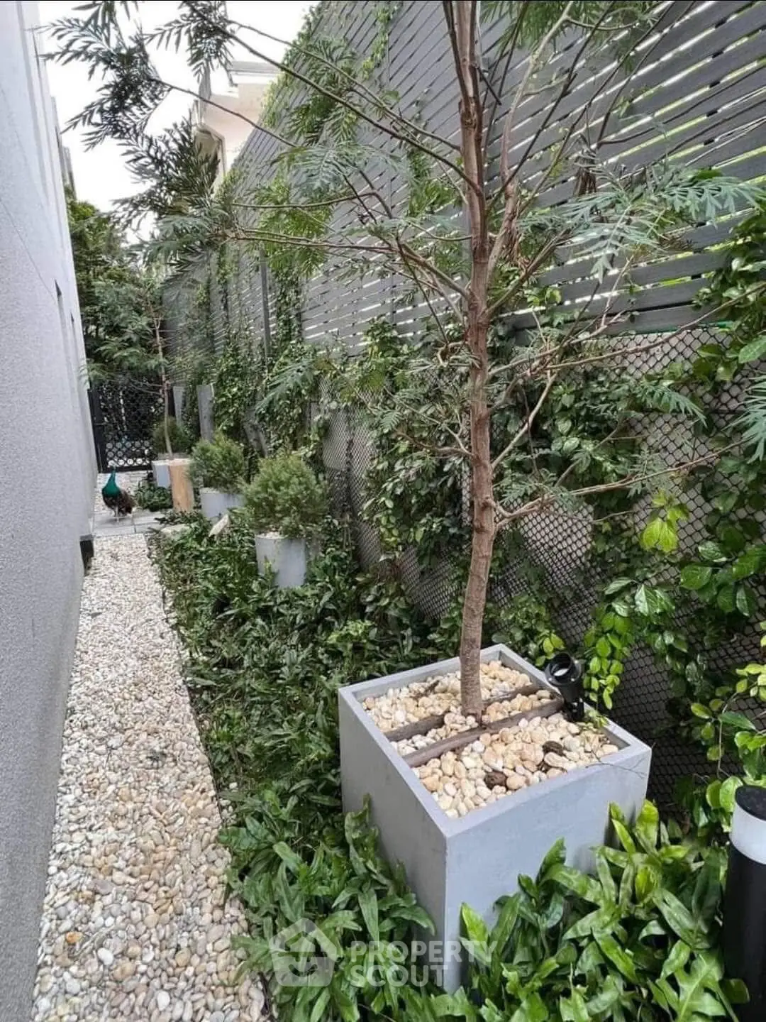 Charming narrow garden with lush greenery and modern planters in a serene outdoor setting.