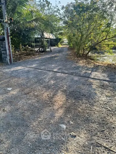 Scenic gravel path surrounded by lush greenery and trees, ideal for nature lovers.