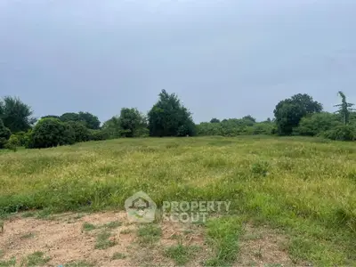 Expansive green land plot with lush trees, perfect for development or investment opportunities.