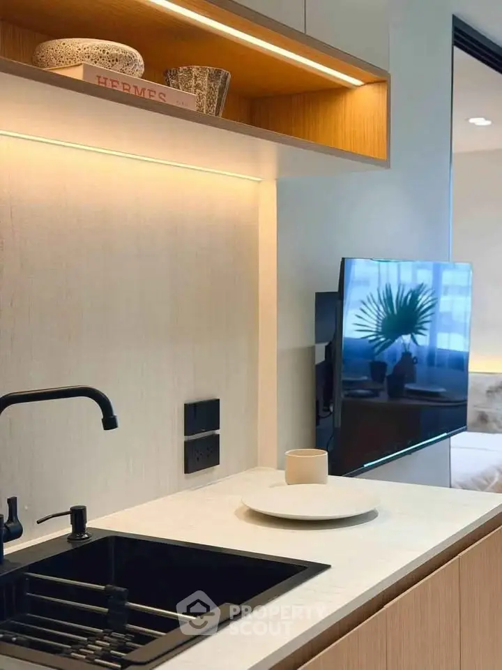 Modern kitchen with sleek black sink and stylish decor in a contemporary apartment.