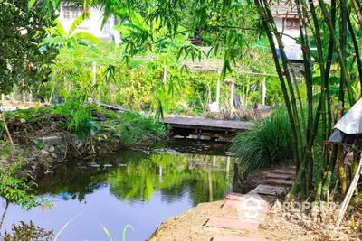 Charming garden with a serene pond and lush greenery, perfect for relaxation and nature lovers.