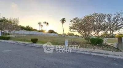Scenic sunset view of a spacious garden plot with palm trees, perfect for development.