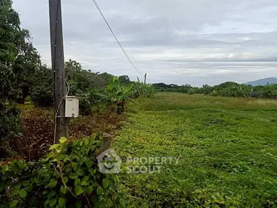 Expansive green land with lush vegetation and distant mountain views, ideal for development or agriculture.