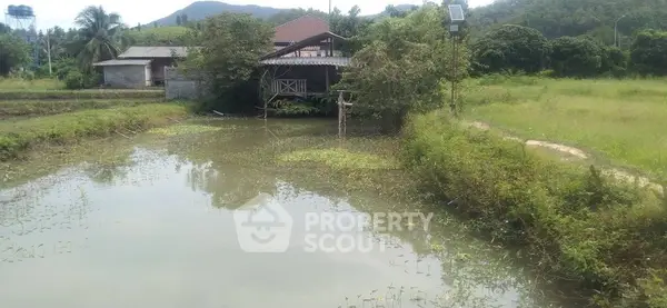 image_rental-13686771