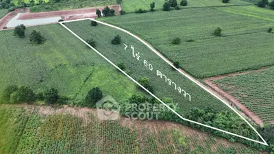 image_rental-20702115