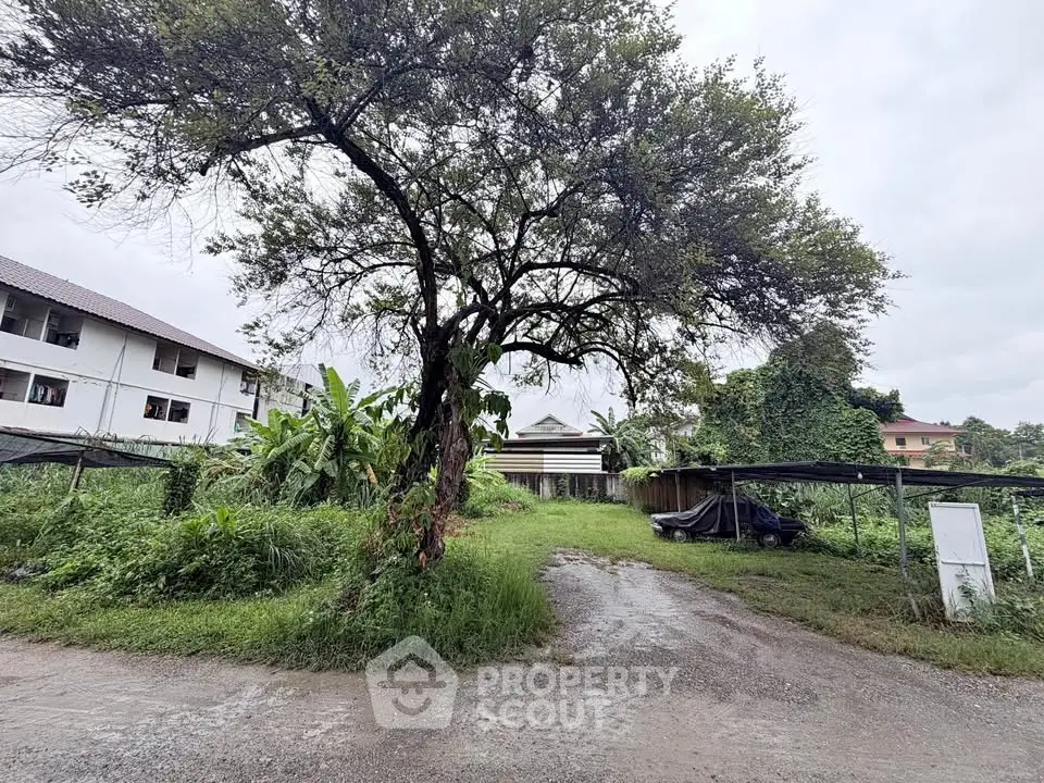 Spacious plot with lush greenery and mature trees, ideal for development or landscaping projects.