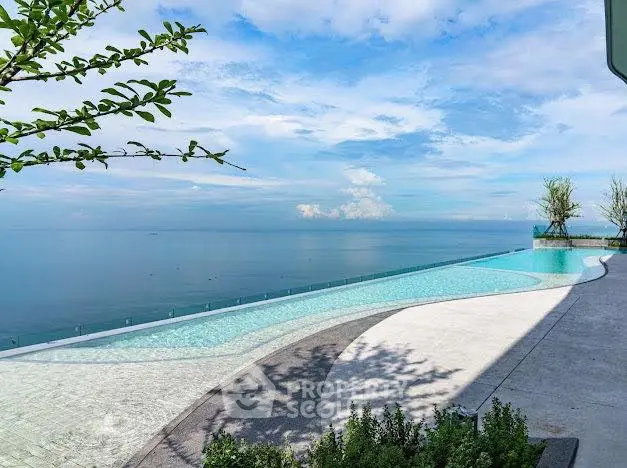 Stunning infinity pool with breathtaking ocean view and modern design