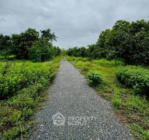 image_rental-31288099