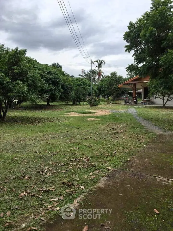 Spacious garden area with lush greenery and a charming house in the background, perfect for outdoor activities.