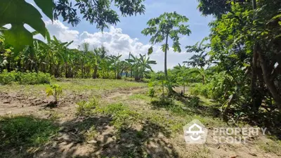 Lush green land plot with tropical vegetation ideal for development or agriculture.