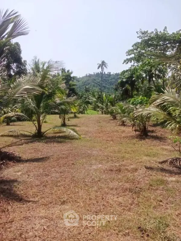 image_rental-21467163