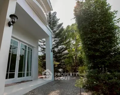 image_rental-30626355