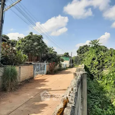 Charming residential street with lush greenery and clear blue sky.