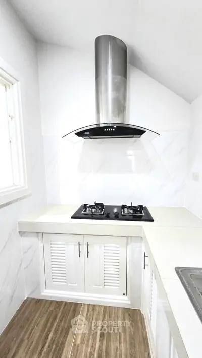Modern kitchen with sleek gas stove and elegant cabinetry