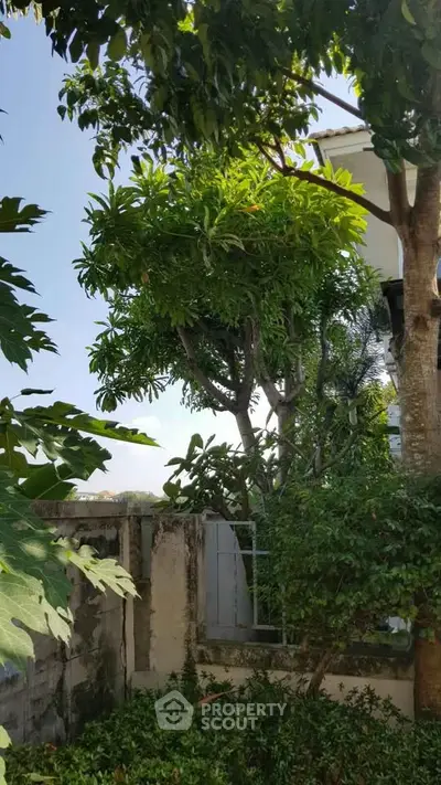 Charming garden view with lush greenery and partial building exterior, perfect for nature lovers.