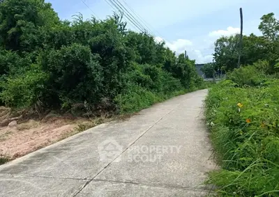 Scenic pathway surrounded by lush greenery, ideal for serene walks and nature lovers.