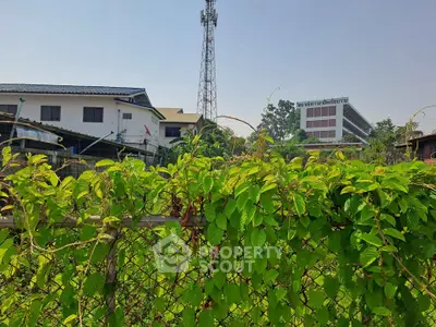 Charming suburban property with lush greenery and clear sky, ideal for peaceful living.