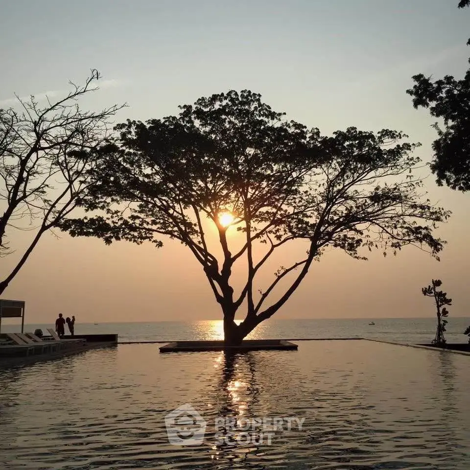 Stunning sunset view over a serene pool with a silhouette of a tree, perfect for relaxation.