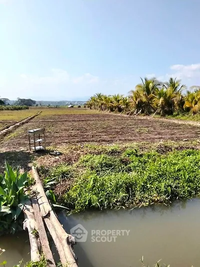 Expansive agricultural land with lush greenery and clear skies, ideal for farming opportunities.