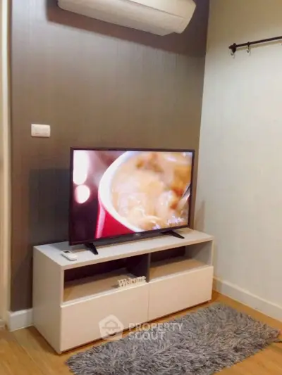 Cozy living room corner with TV and modern decor