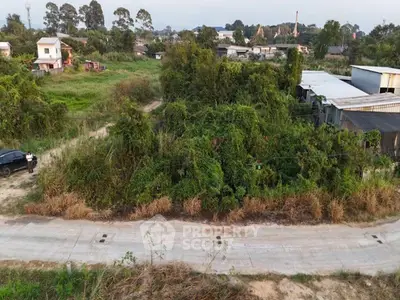 Vacant land plot with lush greenery and potential for development in a serene neighborhood.