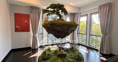 Stunning living room with floating garden feature and large windows