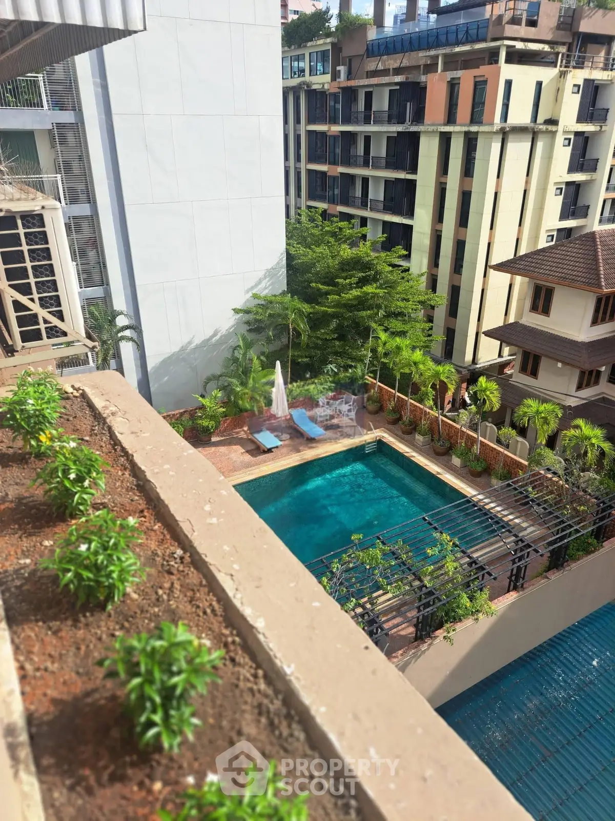 Stunning rooftop view of a luxurious pool surrounded by lush greenery in a modern urban setting.