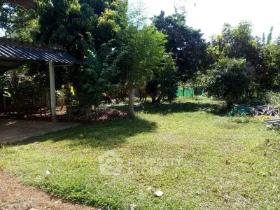 Spacious garden area with lush greenery and partial shade, ideal for outdoor activities.