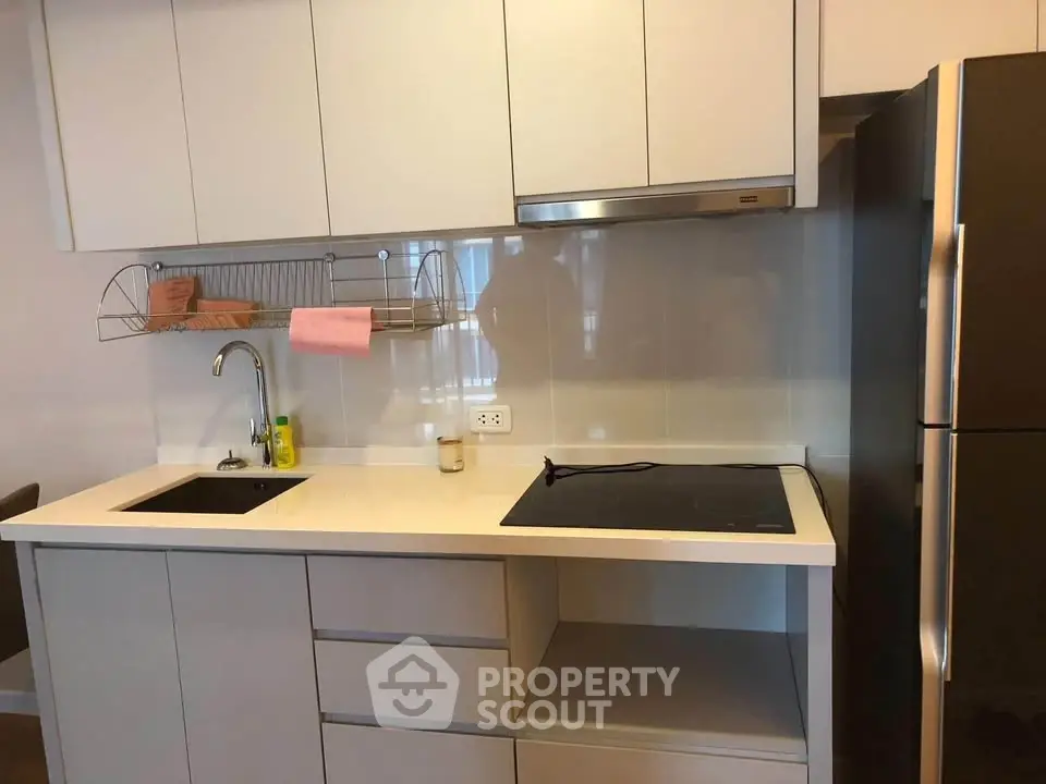 Modern kitchen with sleek cabinetry and electric cooktop in a compact layout.
