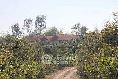 Charming countryside house with red roof surrounded by lush greenery and a dirt path leading to the entrance.