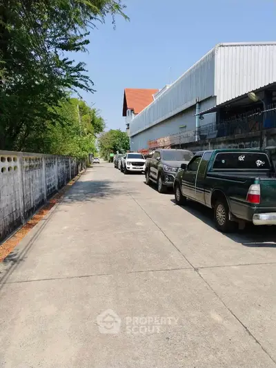 Quiet residential street with parked cars and lush greenery
