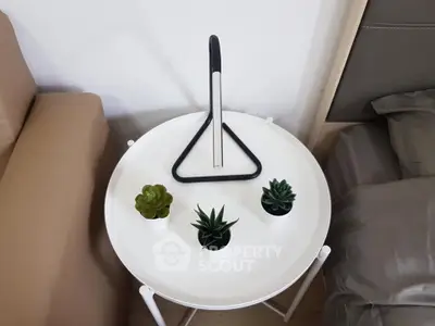 Modern bedside table with stylish lamp and succulents in a cozy bedroom setting.