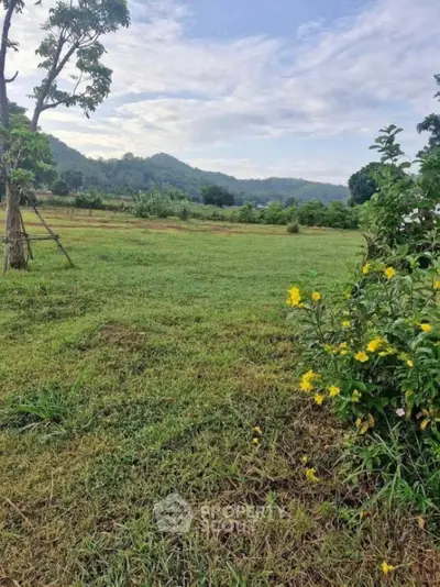 Scenic view of lush green landscape with distant hills and vibrant flowers.