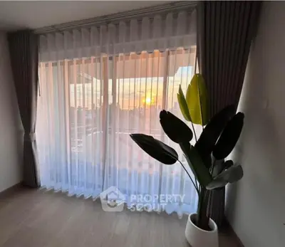 Spacious living room with large window and sunset view, featuring elegant curtains and a stylish potted plant.