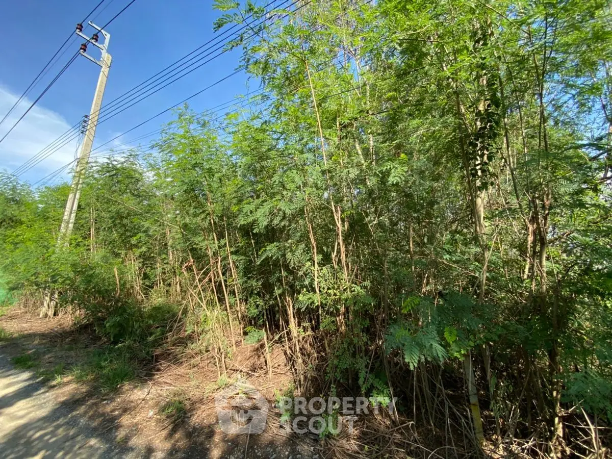 Lush green land plot with potential for development under clear blue skies.