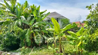 Charming suburban home surrounded by lush tropical greenery and banana trees, offering a serene and private retreat.