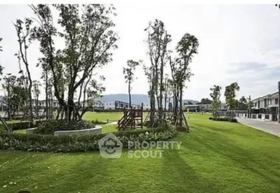 image_rental-31704754