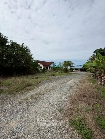 Spacious rural property with gravel driveway and lush greenery, ideal for development.