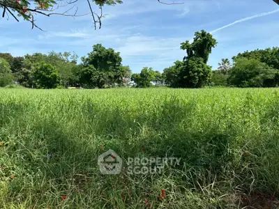 Expansive green land with lush trees, perfect for development or agriculture.